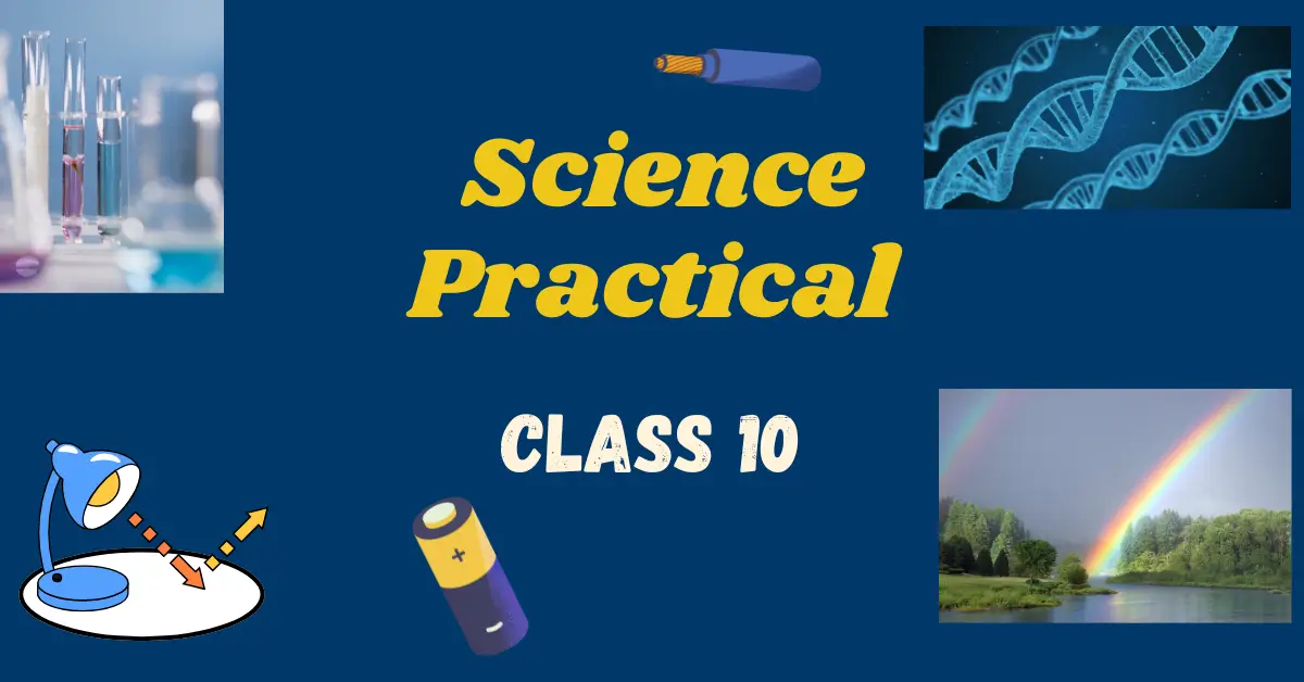 Science Practical